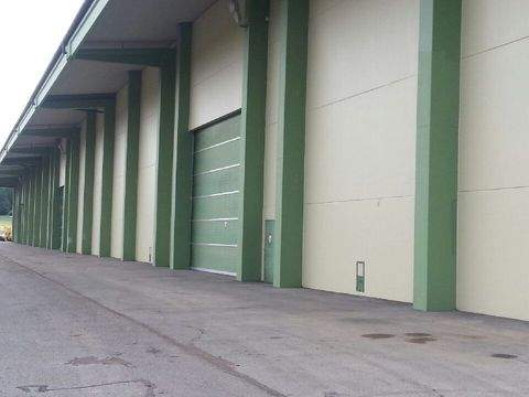 Buch Halle, Buch Hallenfläche