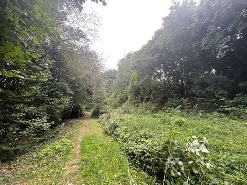 Donaueschingen Grundstücke, Donaueschingen Grundstück kaufen