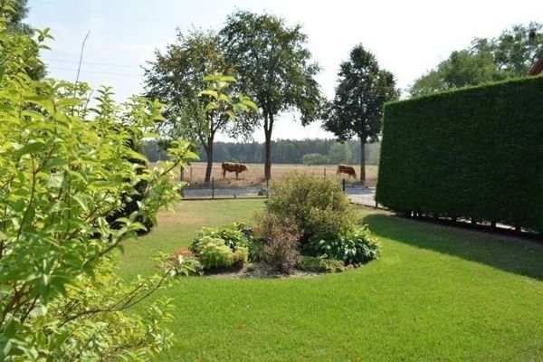 Blick vom seitlichen Vorgarten auf die Straße