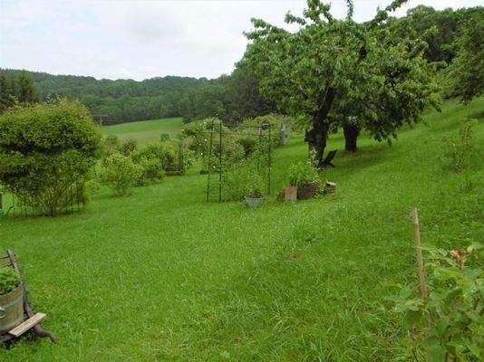 Gartengrundstück am Hang
