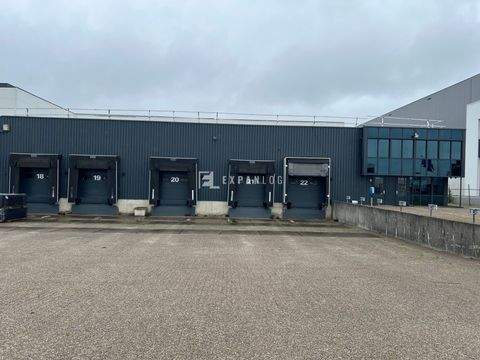 Solingen Halle, Solingen Hallenfläche