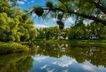 Der Lindenweiher