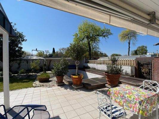 Blick in den Garten (2)