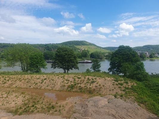 Ausblick über den Rhein - zur Zeit des Bau´s
