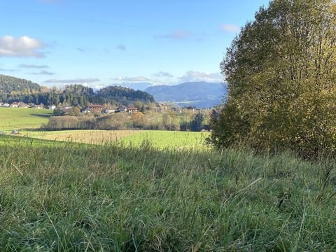 Feldkirchen in Kärnten Grundstücke, Feldkirchen in Kärnten Grundstück kaufen