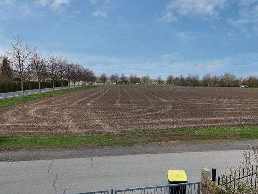 Blick von der Balkonterrasse