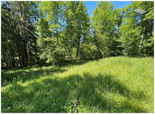 Viele Nutzungsmöglichkeiten