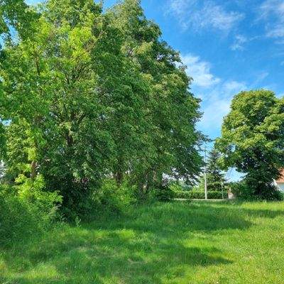 Baugrundstück Bild 8