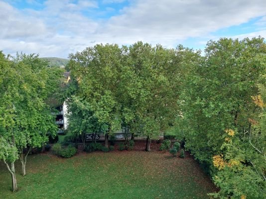 Blick vom Balkon in den grünen Garten & Taunus