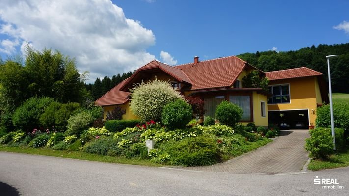 Bild 15