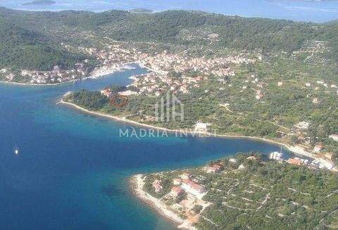 Iz - Rava Bauernhöfe, Landwirtschaft, Iz - Rava Forstwirtschaft