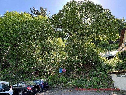 IMG_7197-www-50 Kopie.jpg