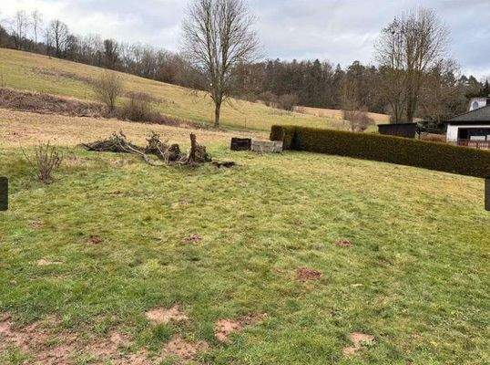 7edf7524-6f41-49ef-b6f4-9f6201170517-1936586775