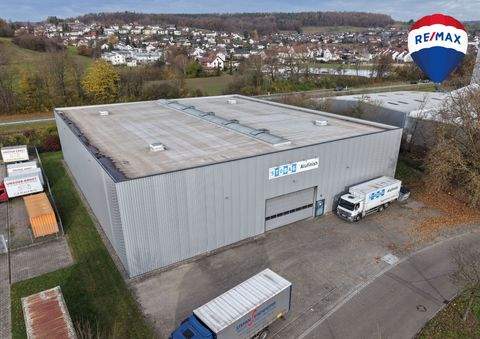 Wutöschingen Halle, Wutöschingen Hallenfläche