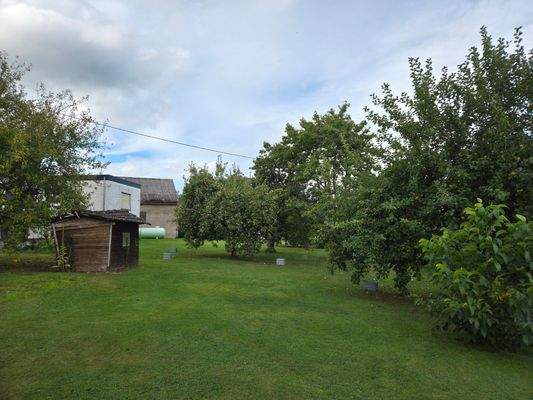 Obstwiese hinter dem Gebäude.jpg