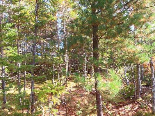 Cape Breton - Belfry Lake - Traumhaft schöne Lage 