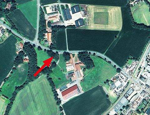 Steinfeld Grundstücke, Steinfeld Grundstück kaufen