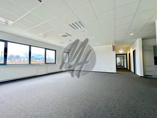 INFOS UNTER: 06171-586000