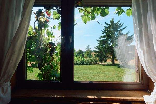 Erdgeschoss, Ausblick in Ihren Garten 