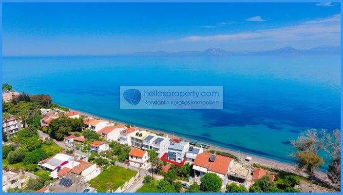 151eafab34c444f89b9d2c5866cc4102-original