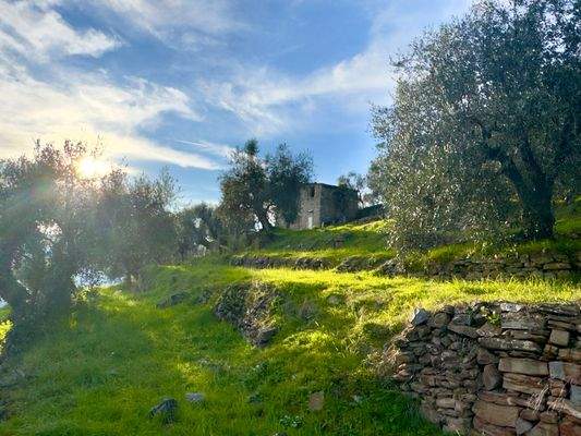 DA1013_02 TERRA ITALIA IMMOBILIEN_REAL ESTATE_FOR 