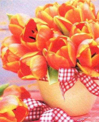 .. ihr neues Zuhause !