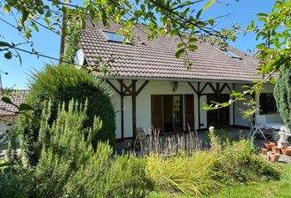 Sommer, Sonne, Garten