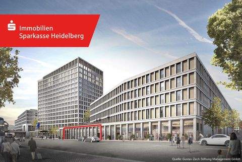 Heidelberg Ladenlokale, Ladenflächen 