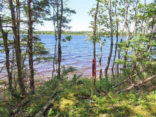 Cape Breton - Ideal für´s Kapital - Einzigartiges 