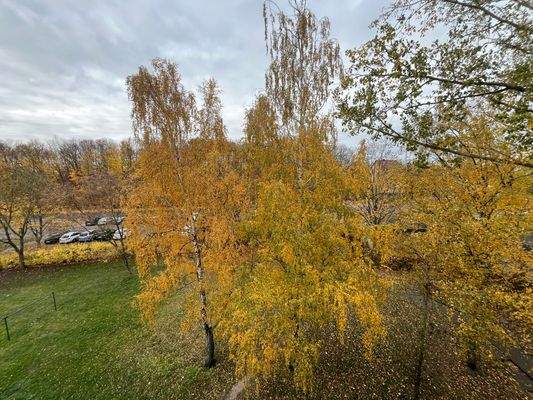 Ausblick Küchenfenster