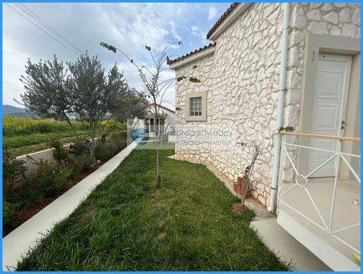 def80e304ff24d12944d2a57d1cde6b1-original