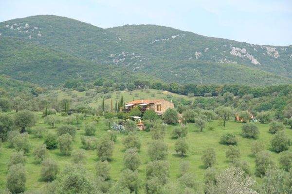 Das Haus mit Oliven Hain