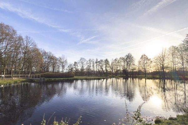Ausblick auf Teich