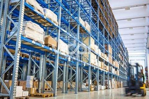 Düsseldorf Halle, Düsseldorf Hallenfläche