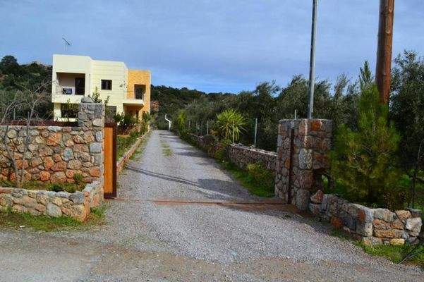 Kreta, Exo Lakonia: 5-Zimmer-Villa mit großem Olivenhain zu verkaufen