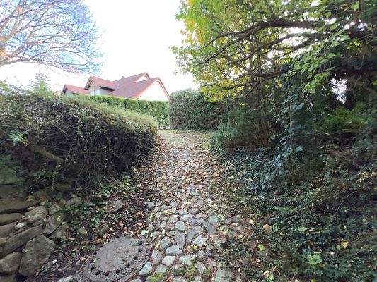 Einfahrt Untergeschoss Garage