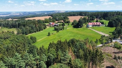 Wernburg Bauernhöfe, Landwirtschaft, Wernburg Forstwirtschaft