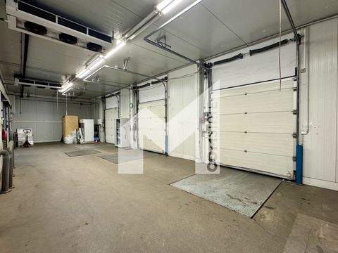 Hürth Halle, Hürth Hallenfläche