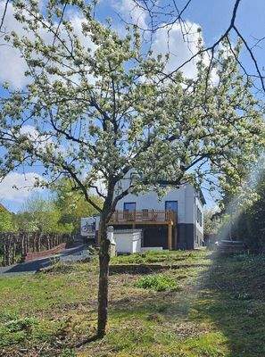 Ferienhaus kaufen018