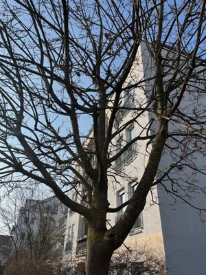 Blick auf Südfassade
