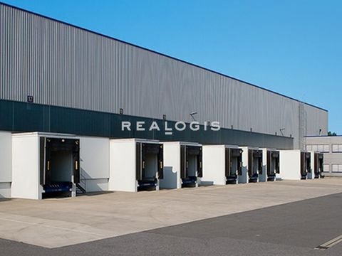 Dormagen Halle, Dormagen Hallenfläche