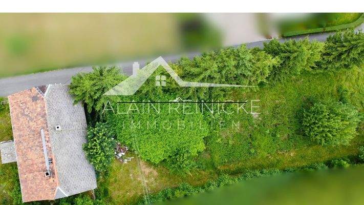 vorderer Teil des Grundstücks