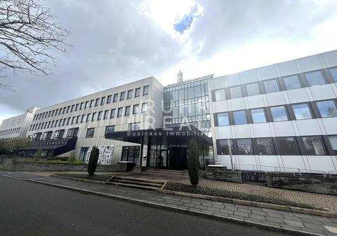 Bonn Büros, Büroräume, Büroflächen 