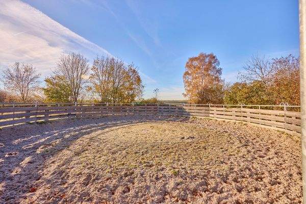 05 Longierzirkel.jpg