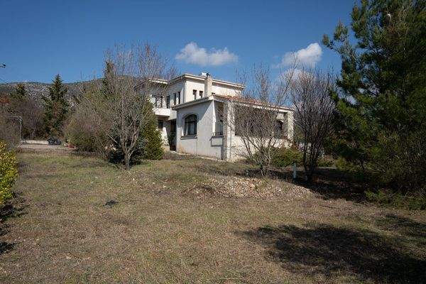 Krinides-Tsiriktsidou 23-02-2024-35.jpg