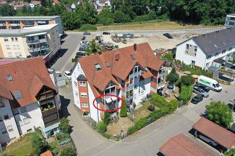 Meckenbeuren Wohnungen, Meckenbeuren Wohnung kaufen