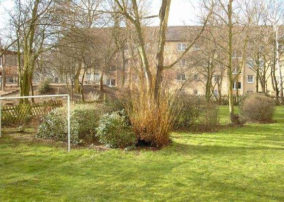 Außenanlage mit Grünflächen und Sträuchern und Bäumen