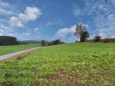 Pleystein Bauernhöfe, Landwirtschaft, Pleystein Forstwirtschaft