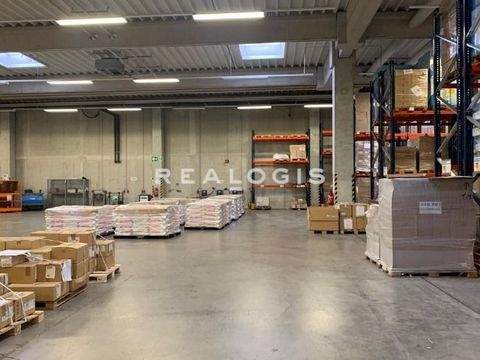 Sachsenheim Halle, Sachsenheim Hallenfläche