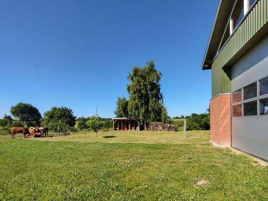 Platz vor der Halle mit 4 Meter Rolltor